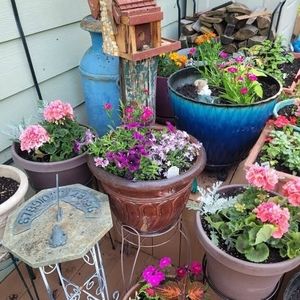 Meet your Posher, Debra